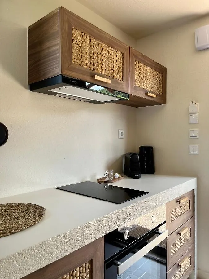 Апартаменты Palma Seaside Villa 3 Сарти Греция